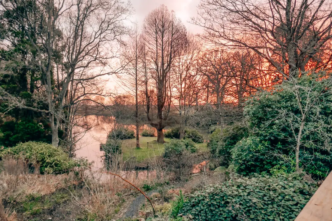 Sunrise in the grounds of Heckfield Place