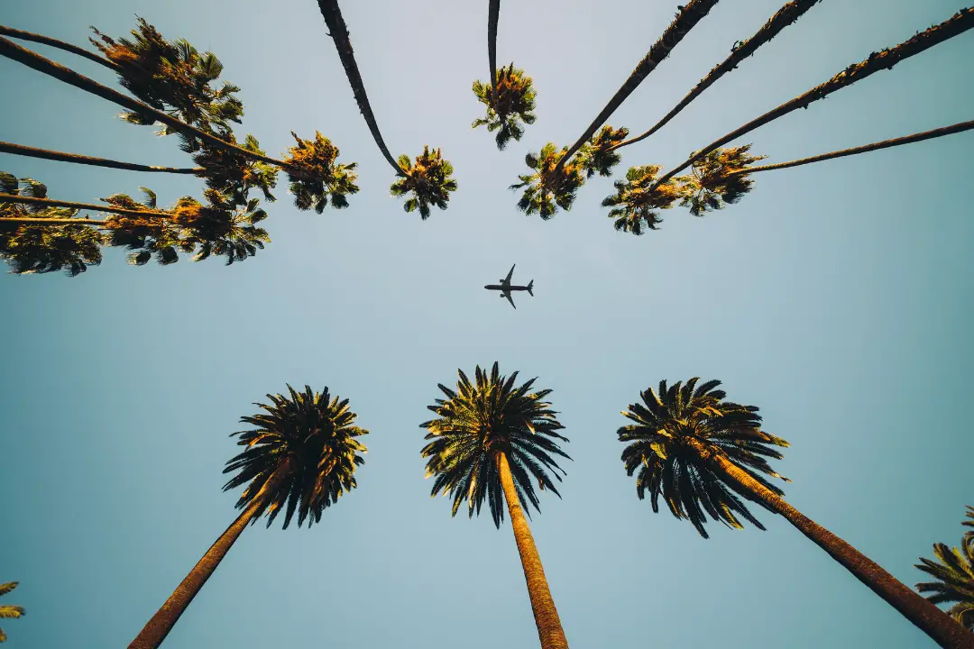 Personalised Luxury Travel Gifts: Plane over Palm Trees