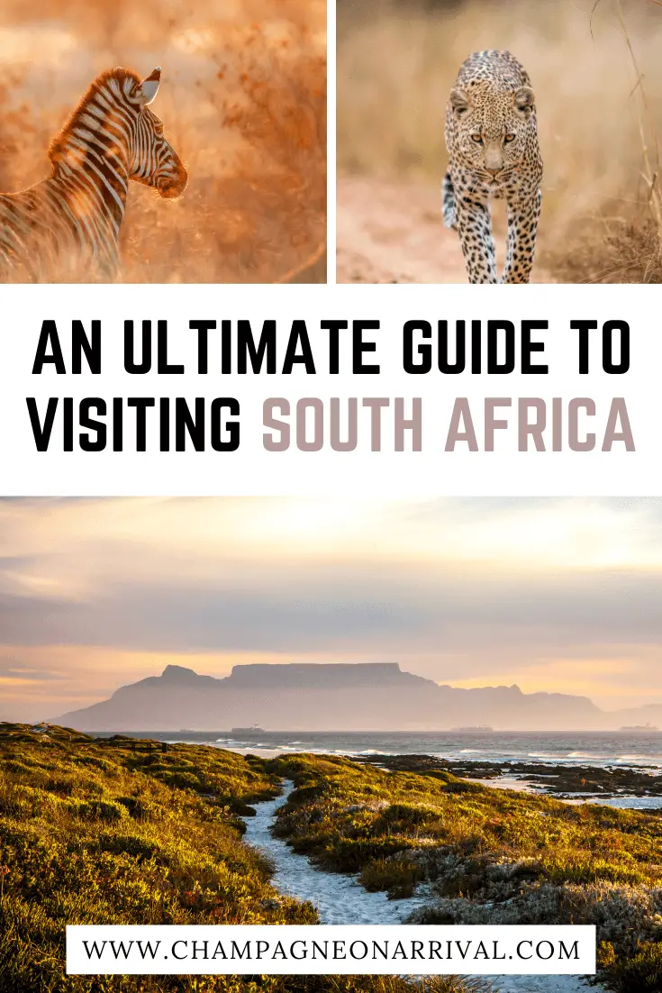 Pin for Your Ultimate Guide to Visiting South Africa