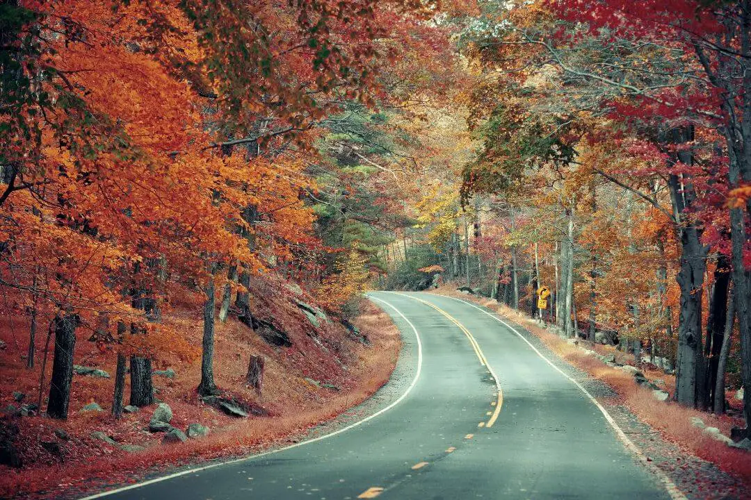 Staycation Benefits, an open road in autumn